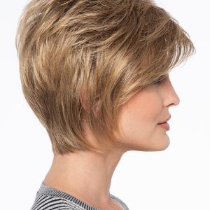 Women Monofilament Straight Lace Front Synthetic Wig Basic Cap