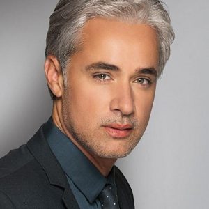 Men Gray Short Monofilament Synthetic Lace Front Wig Mono Top
